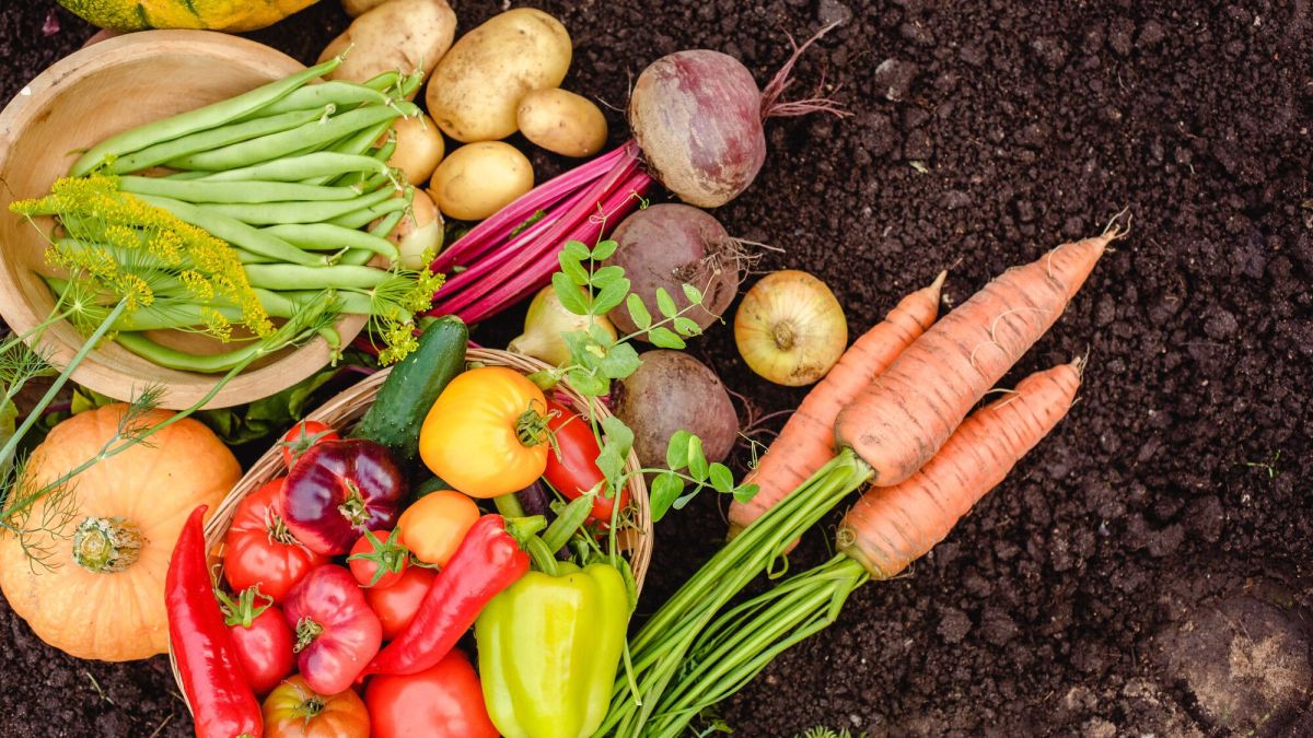 les secrets des associations astucieuses au potager