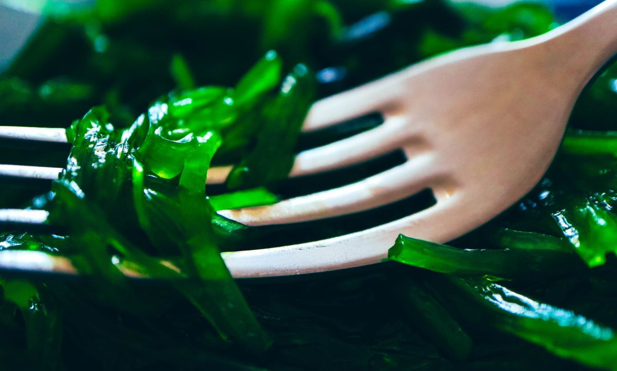 L'Anses met en garde sur la consommation d'algues : attention à l'iode