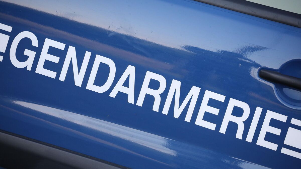 Agression d'une sapeur-pompier : le suspect arrêté en Italie