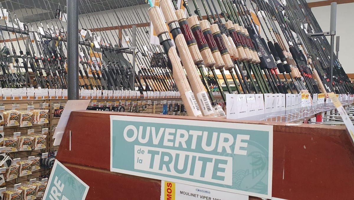 L'ouverture de la pêche à la truite en Côte-d'Or : un événement très attendu