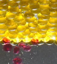 Une expérience culinaire innovante avec Thierry Marx