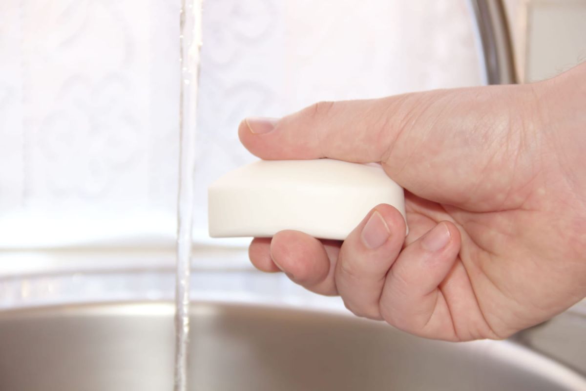 les bienfaits insoupçonnés du savon solide dans votre jardin