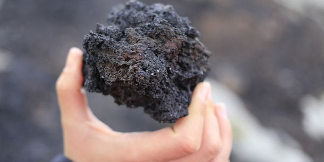 Engrais naturels : comprendre les choix entre organiques et minéraux