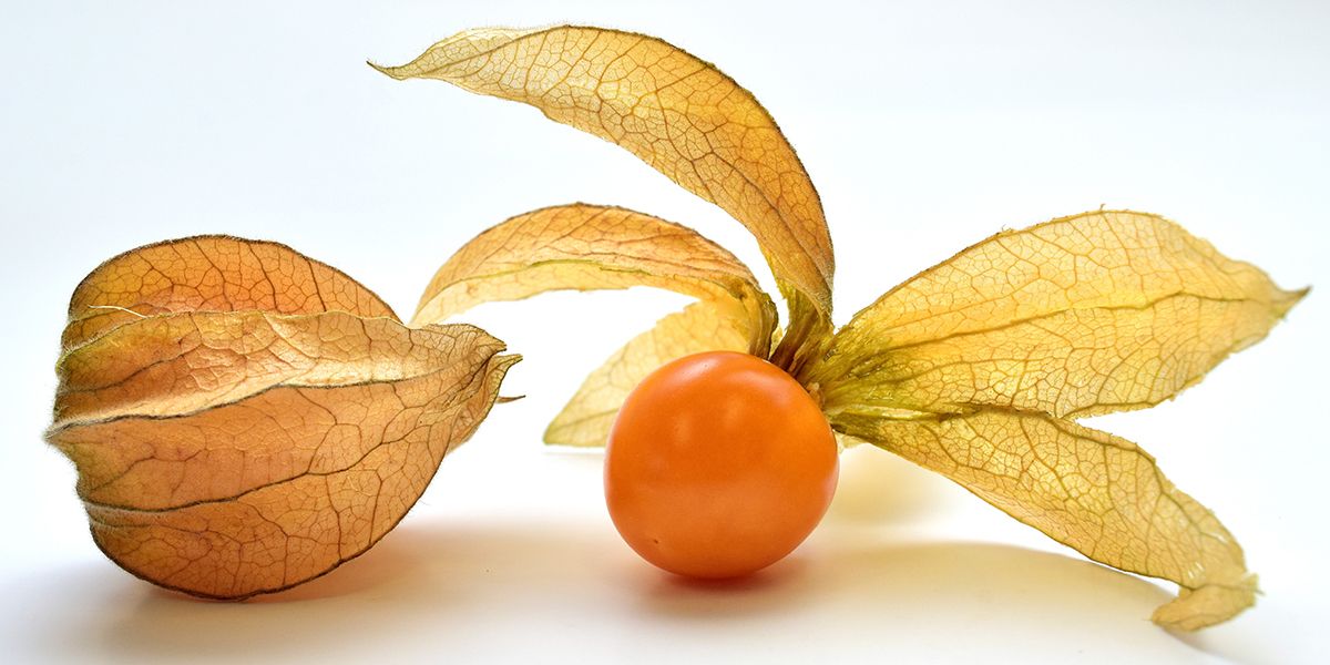 Découvrez le coqueret du Pérou, fruit vedette de la pâtisserie