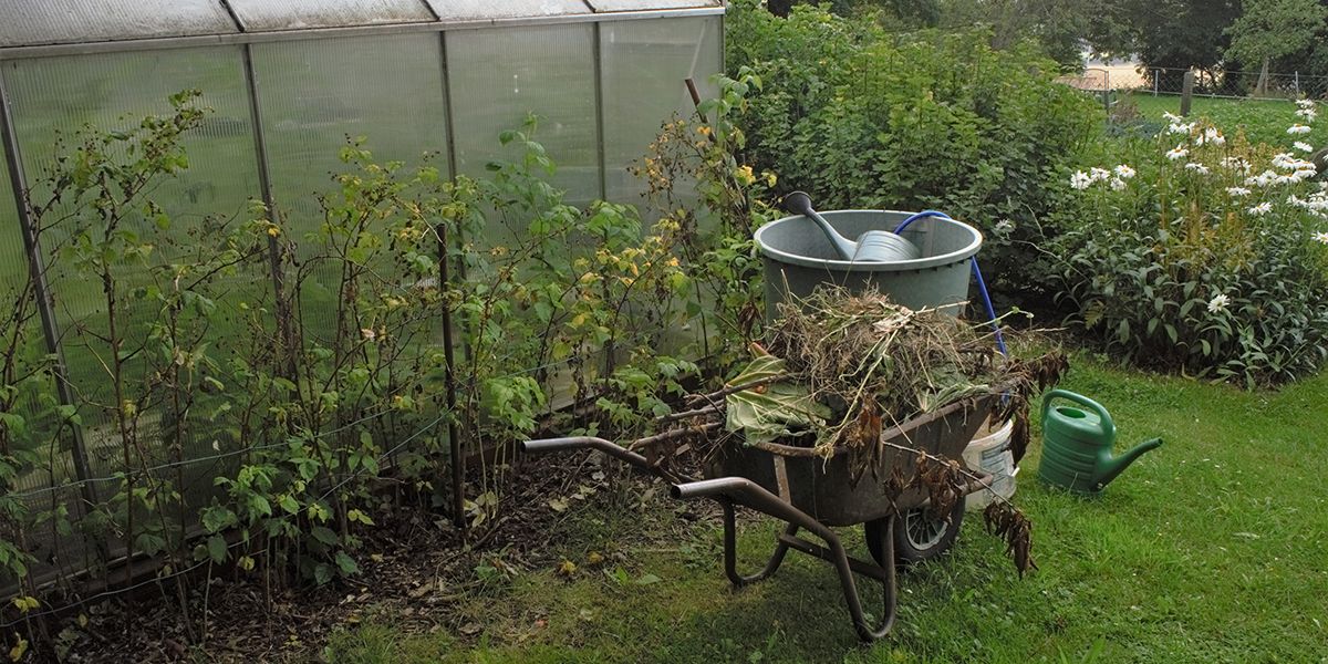 5 étapes pour un nettoyage efficace de votre serre cet automne
