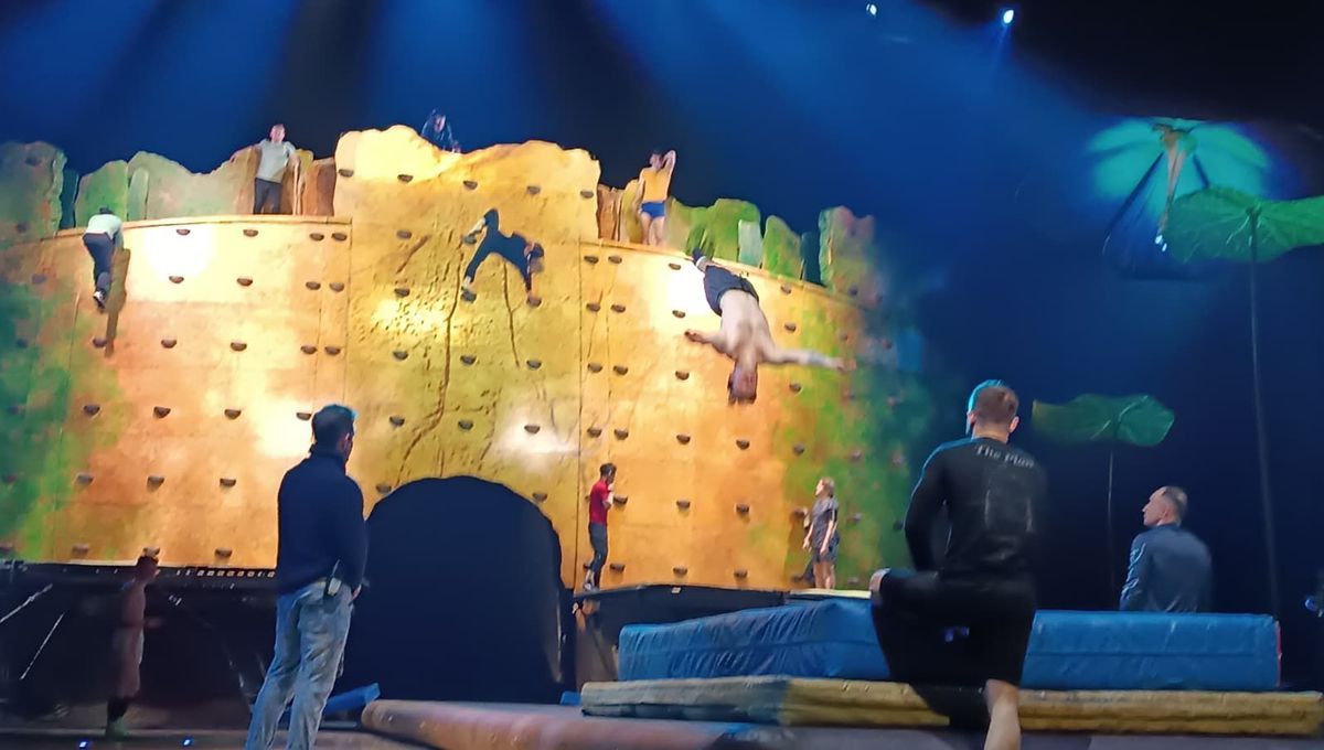Dans les coulisses du Cirque du Soleil : spectacle OVO à Marseille