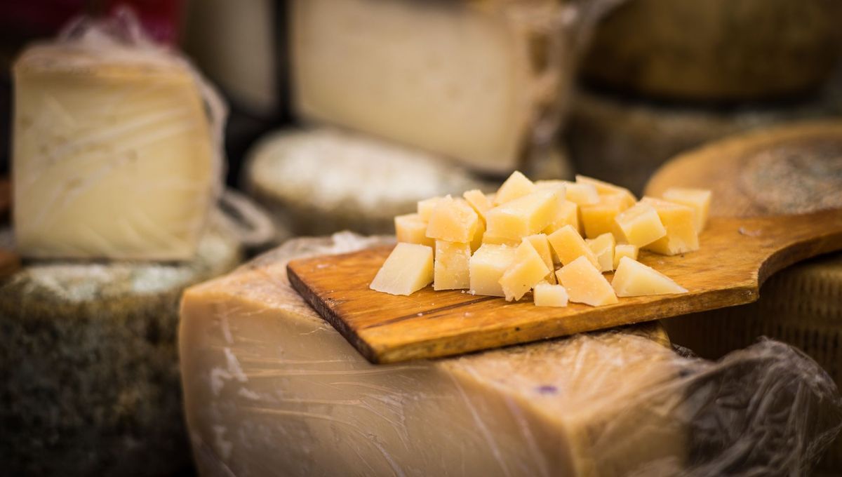 À la découverte du Fromage de Herve, joyau du patrimoine belge