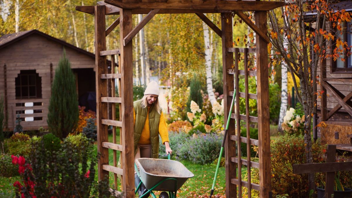 Protéger vos plantes en hiver : astuces pour balcons et jardins