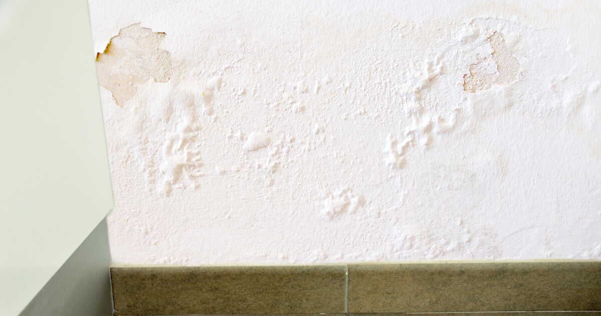 Comment lutter contre l'humidité : 4 solutions à découvrir