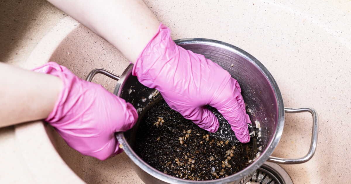 Un gel nettoyant qui redonne vie à vos casseroles et canalisations