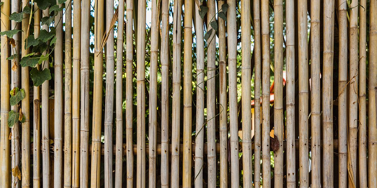 Brise-vue au jardin : ce que vous devez savoir sur la réglementation