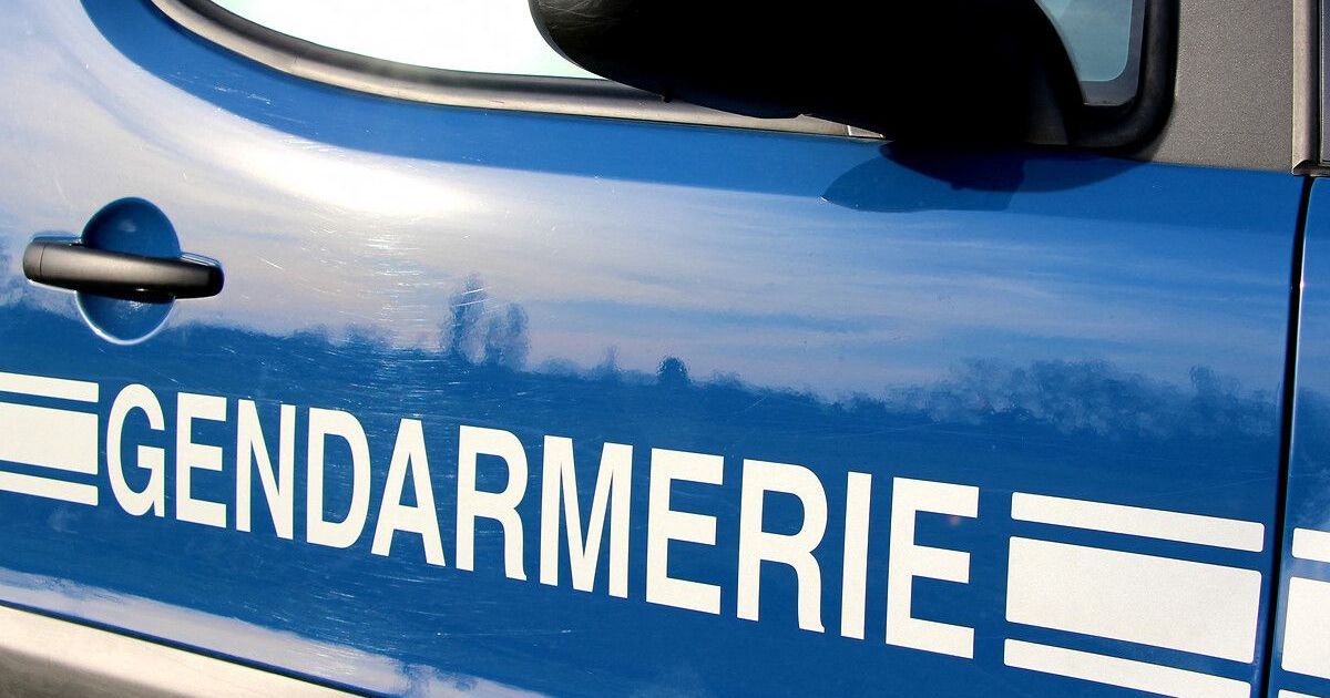 Gendarmes à Sorgues : une offensive déterminée contre le trafic de drogue