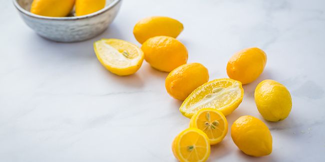 Limequat (Citrus × floridana) : un trésor des agrumes