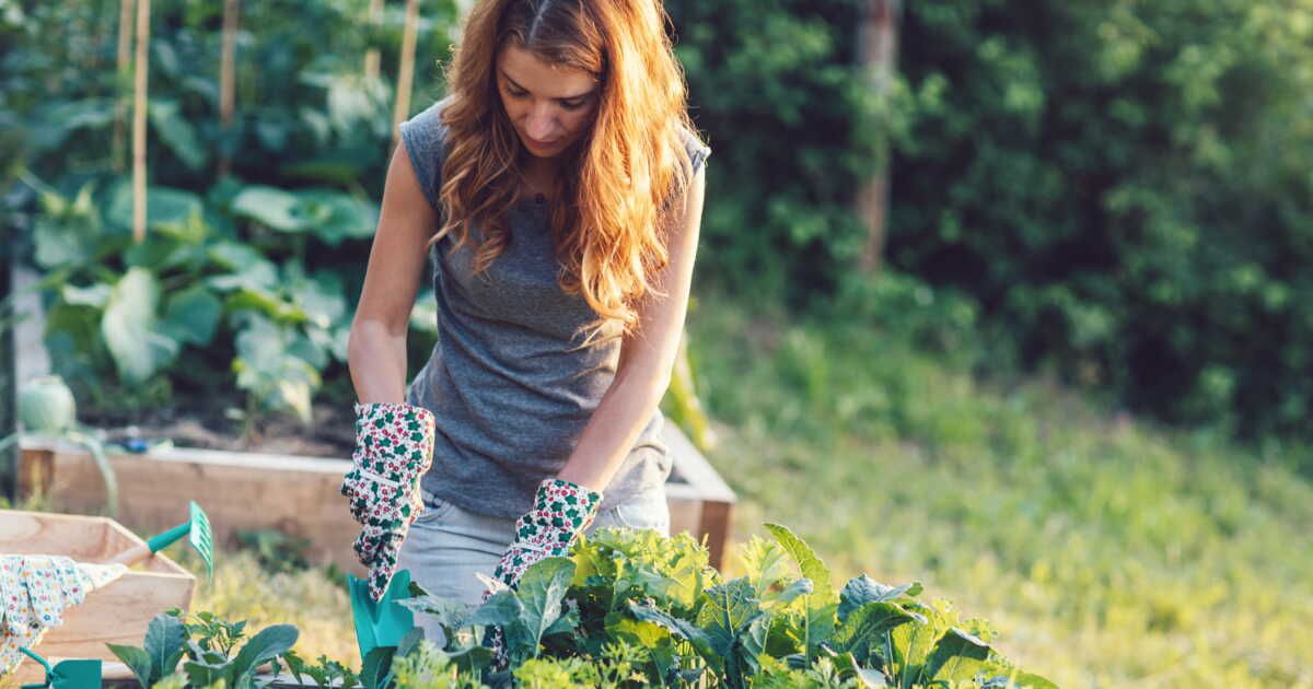Des astuces naturelles pour un jardin épanoui