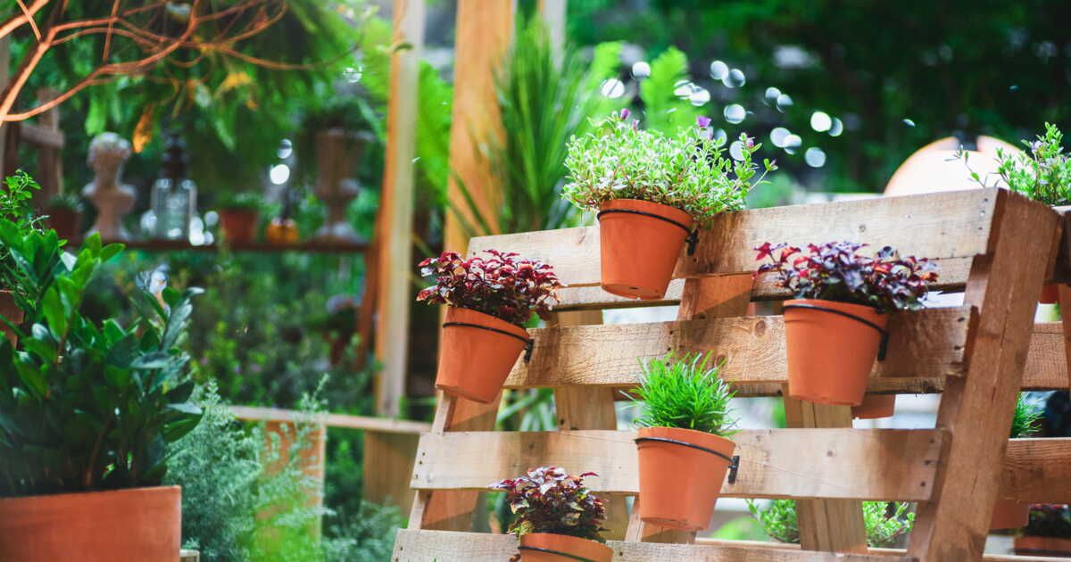 Les palettes en bois : un danger caché pour notre jardin