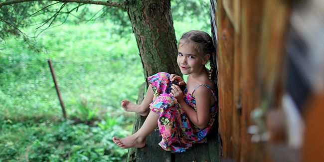 Construire une cabane en bois : réglementations à connaître avant de se lancer