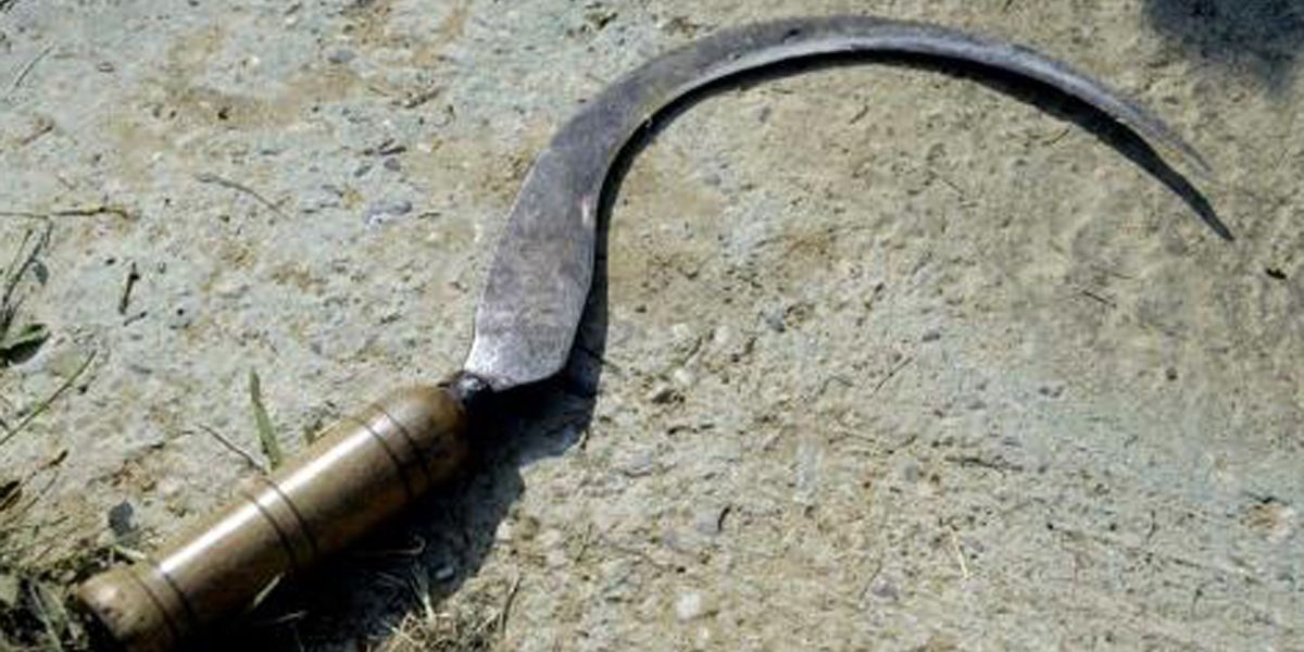 Découverte de la faucille, un outil traditionnel pour le jardinage