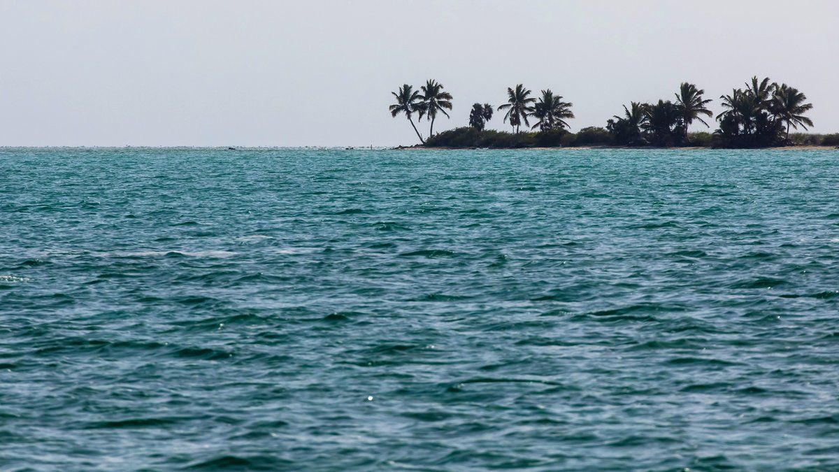 Une famille perdue en mer sauvée après sept jours d'angoisse dans le Pacifique