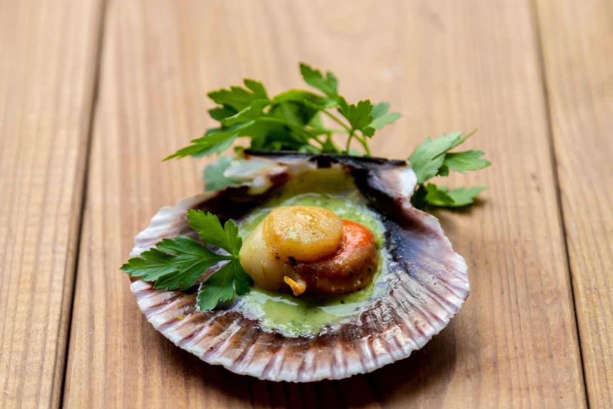 Savourez Noël avec des Saint-Jacques marinées et un velouté de mâche exquis