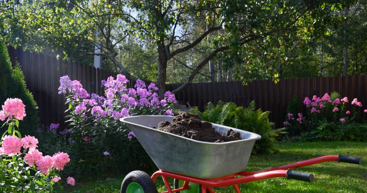 Des idées originales pour transformer votre jardin sans gazon