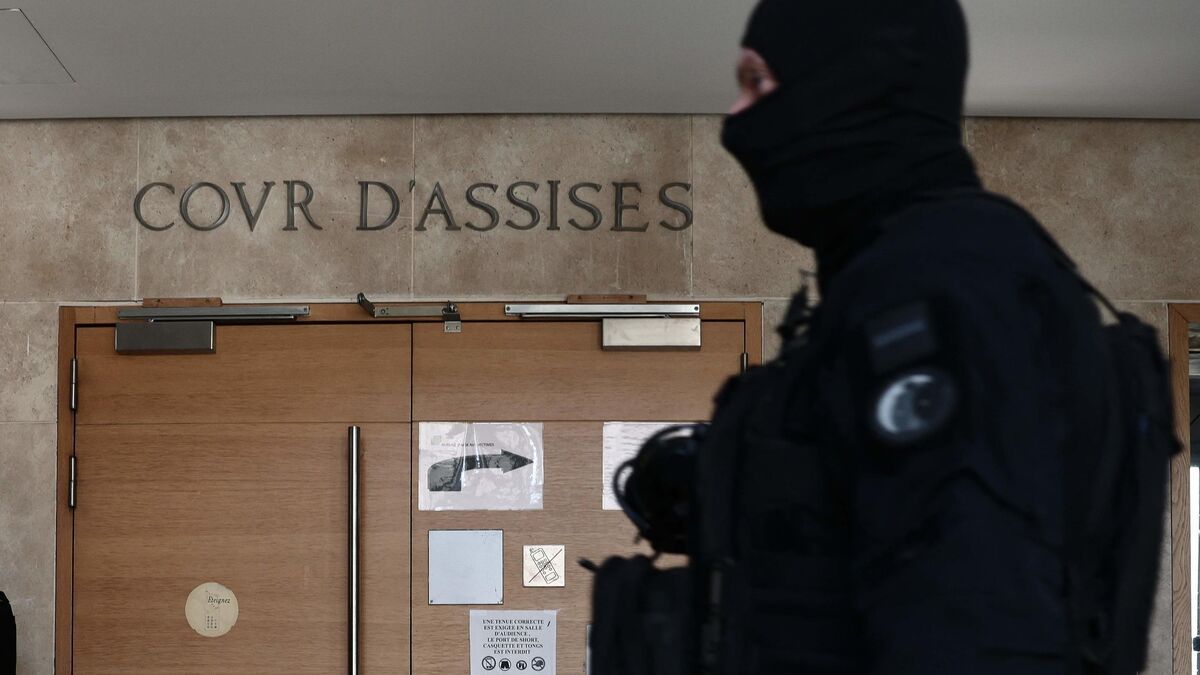 Un tournant judiciaire majeur : des peines lourdes requises dans l'affaire de la DZ Mafia