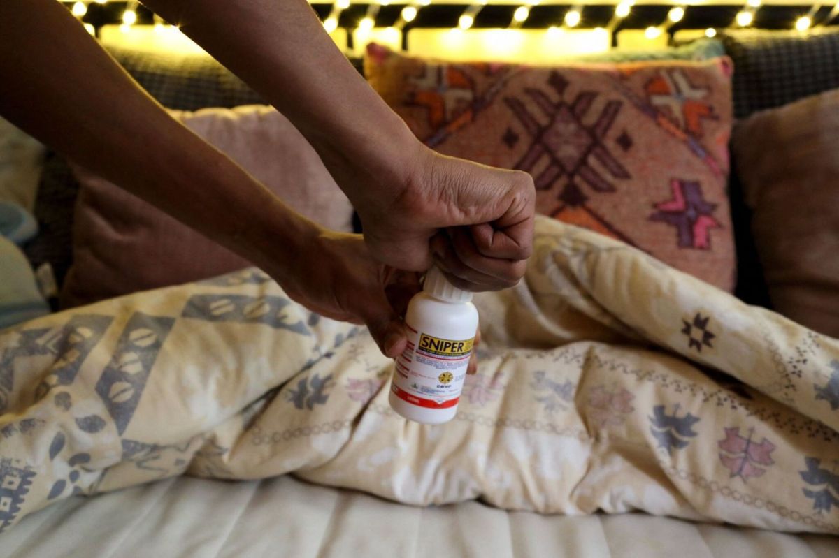 Les dangers cachés du Sniper 1000 : un insecticide mortel toujours sur le marché