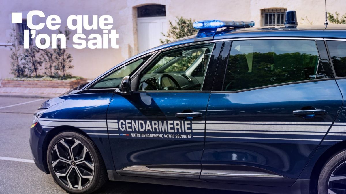 une tragédie familiale : l'effroyable féminicide des sœurs jumelles en Vienne