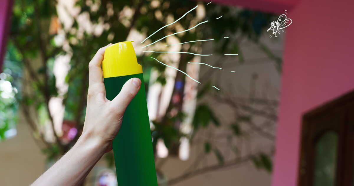 Des astuces naturelles pour se débarrasser des mouches à la maison