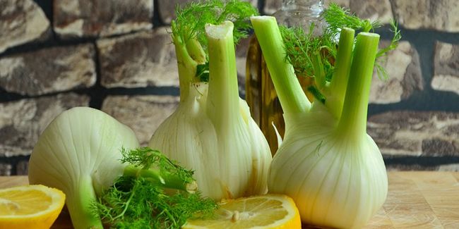 découvrez les secrets du fenouil bulbeux, un légume aux arômes uniques