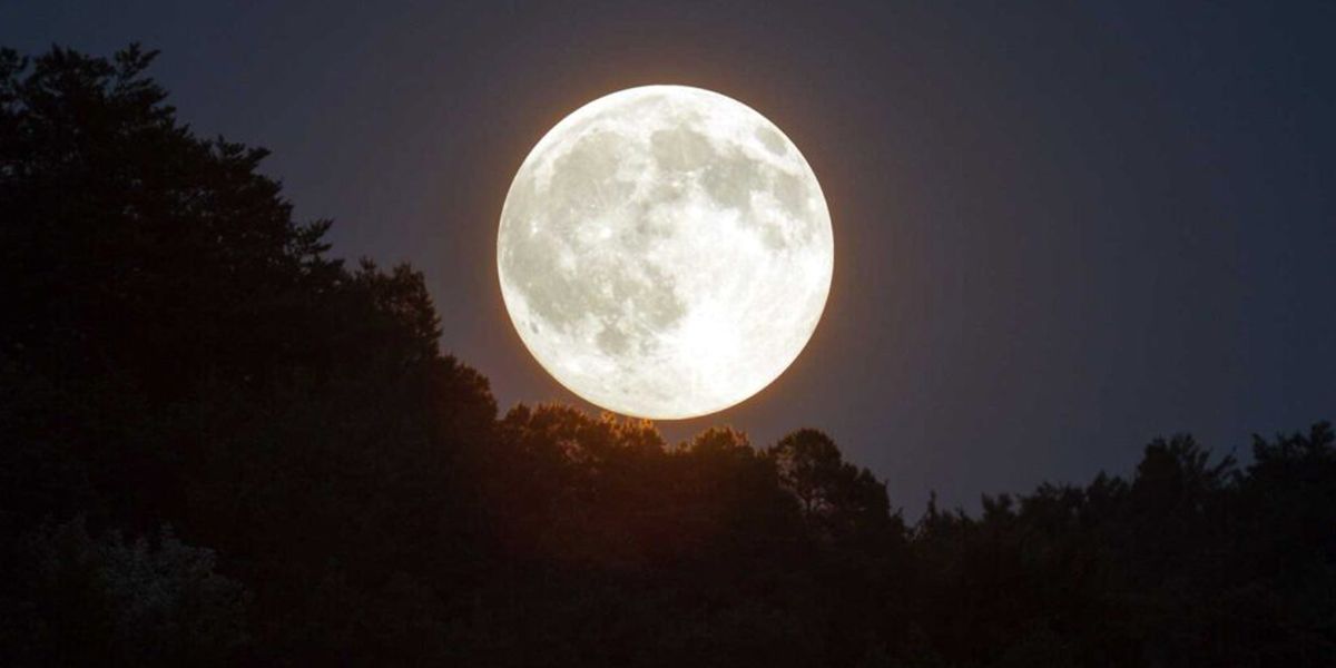 Calendrier lunaire du jardin - Décembre 2025