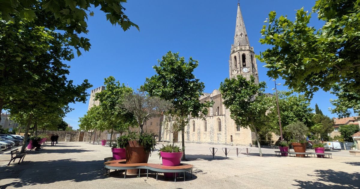 Les habitants de Montfavet interpellent le nouveau maire d’Avignon sur leur sentiment d'abandon