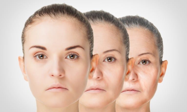Quand une vitamine pourrait défier le temps