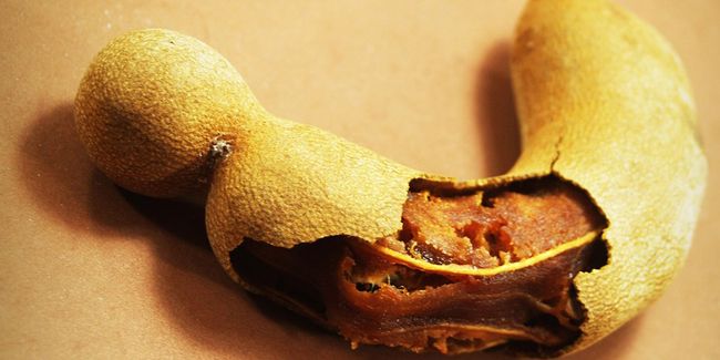 Découverte du tamarin : un trésor de bienfaits pour la santé