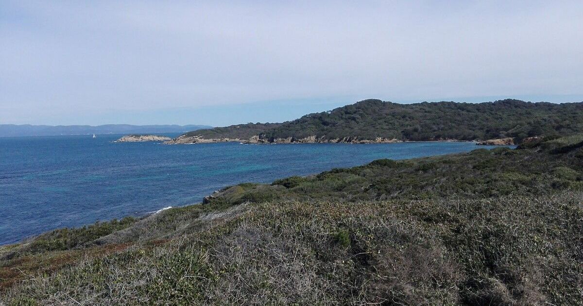 Un plongeur disparu à Porquerolles retrouvé sans vie : le drame de l'épave du Donator