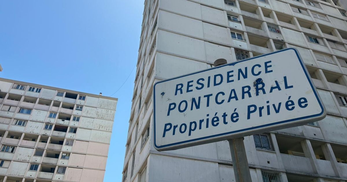 Un drame familial à Toulon : la tragédie de la mère et de ses trois enfants