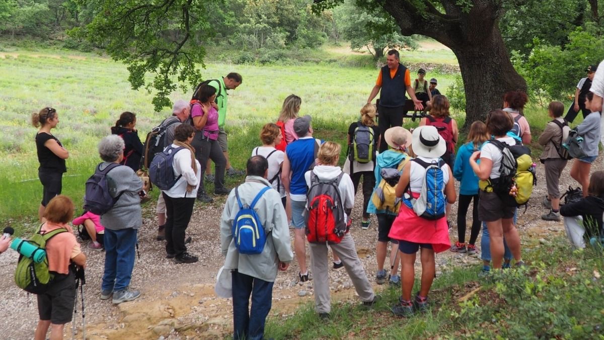 Randolades de printemps : une immersion poétique au cœur des paysages d'Aix