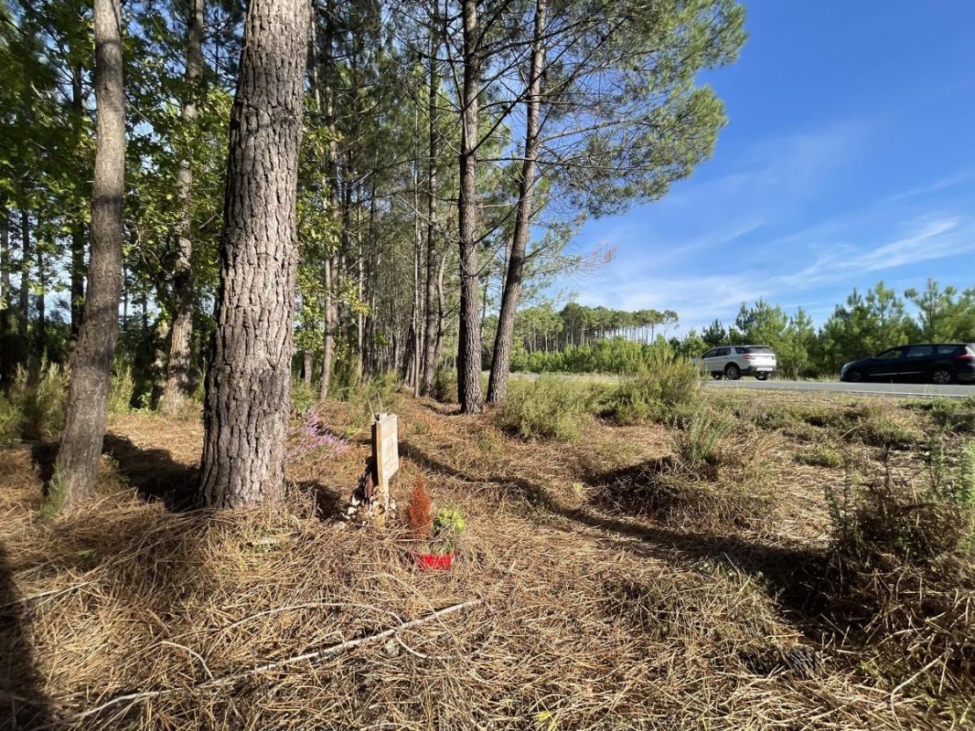 Gironde : un drame passionnel se termine par trente ans de réclusion