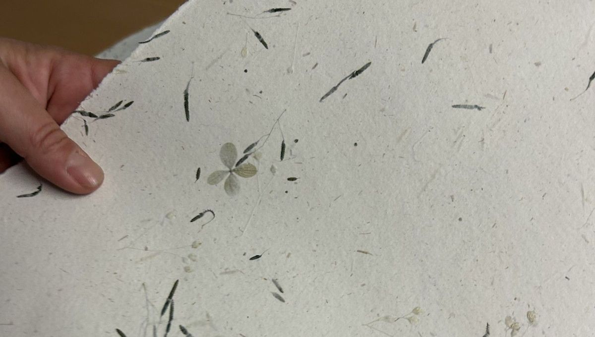 Le trésor papetier de Vaucluse qui fascine les experts de luxe