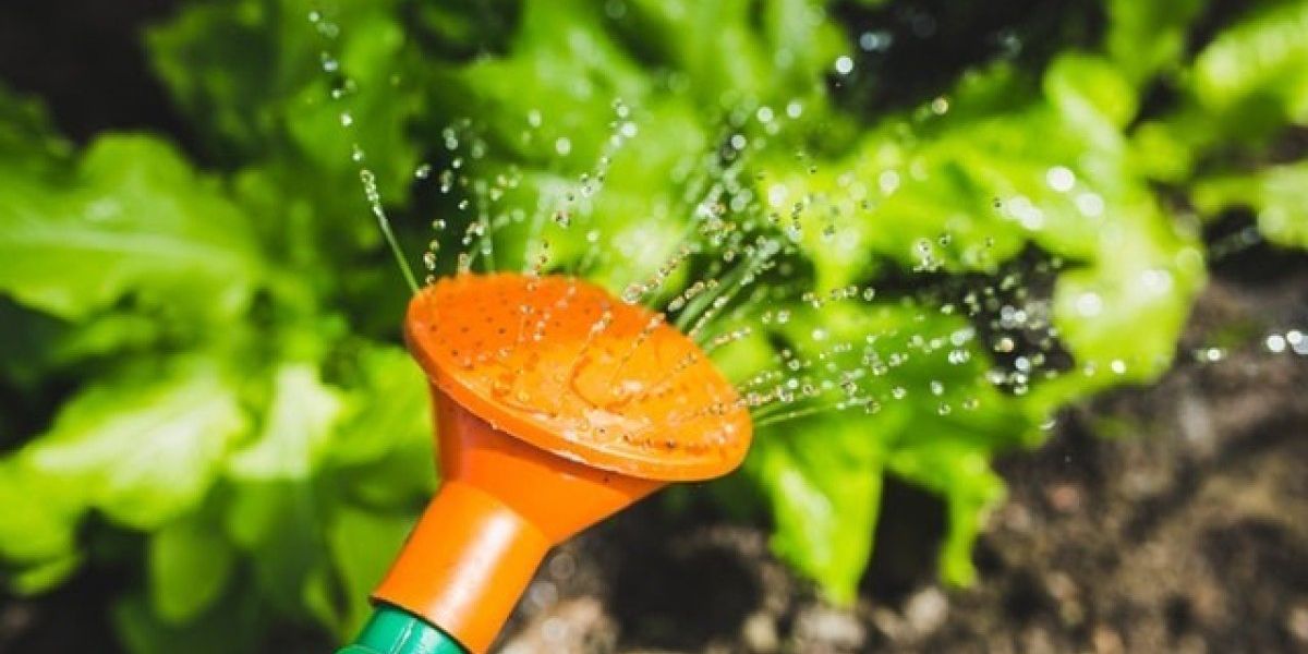 Des astuces efficaces pour arroser votre jardin sans gaspiller d'eau