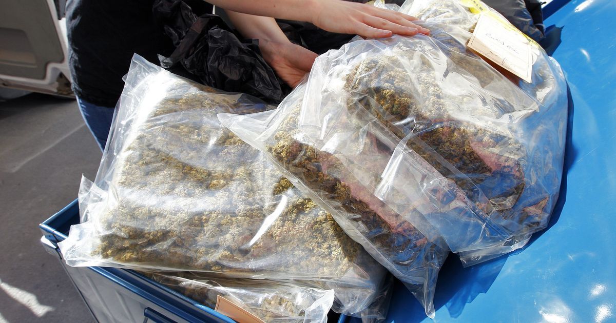Une importante saisie de cannabis entre France et Espagne : six suspects arrêtés