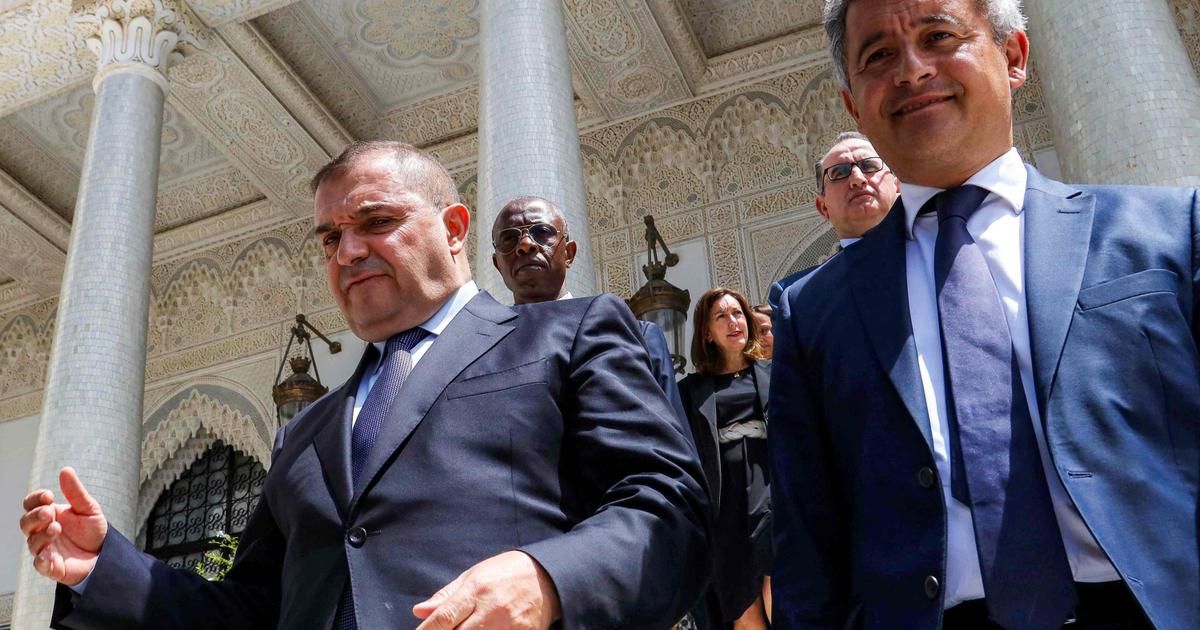 la dz mafia : enjeux d'une coopération judiciaire entre l'algérie et la france