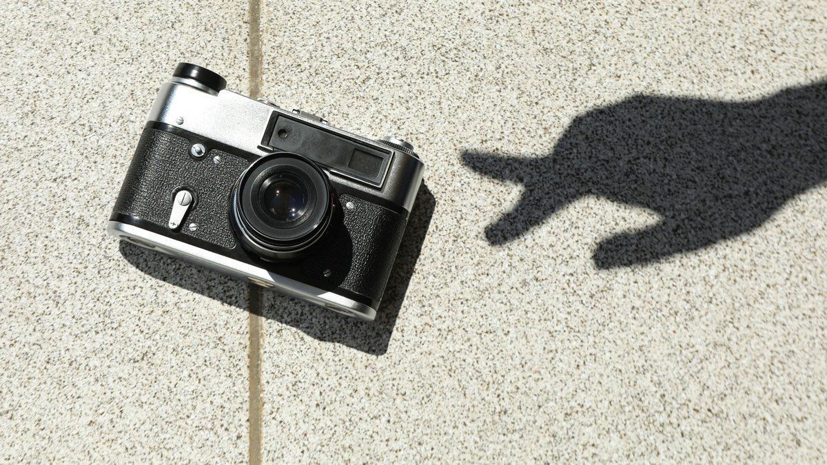 Un photographe profite d'un drame pour voler son confrère : l'affaire qui choque l'Australie