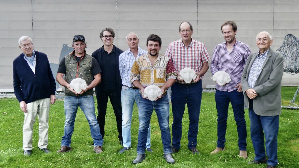 Le retour glorieux du Mérinos d'Arles : une laine primée au cœur du savoir-faire français