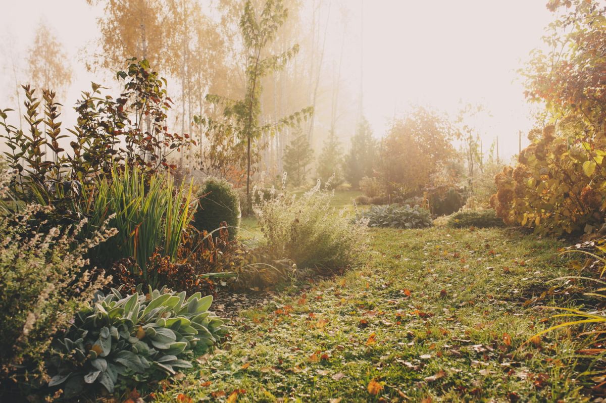maîtrisez votre jardin cet automne avec ces dictons météorologiques