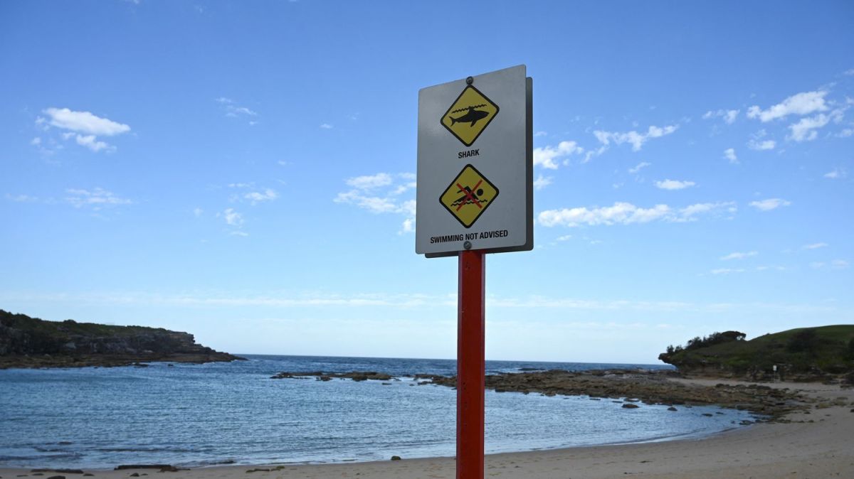 Tragédie en Australie : un homme perd la vie suite à une attaque de requin