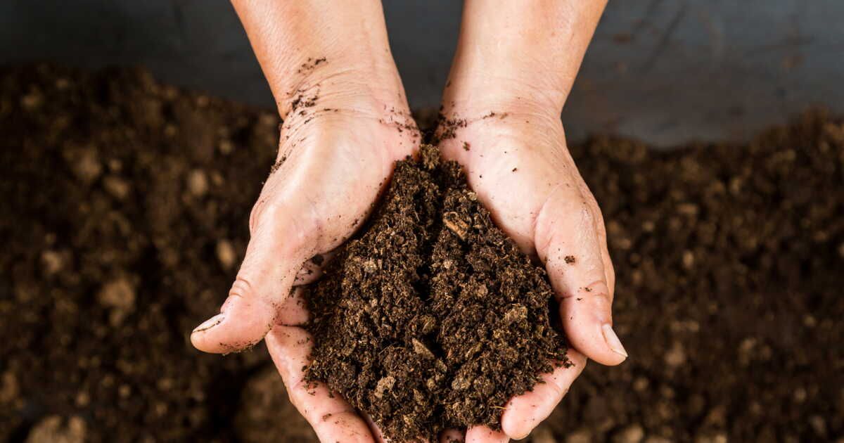 Comment choisir son terreau ?