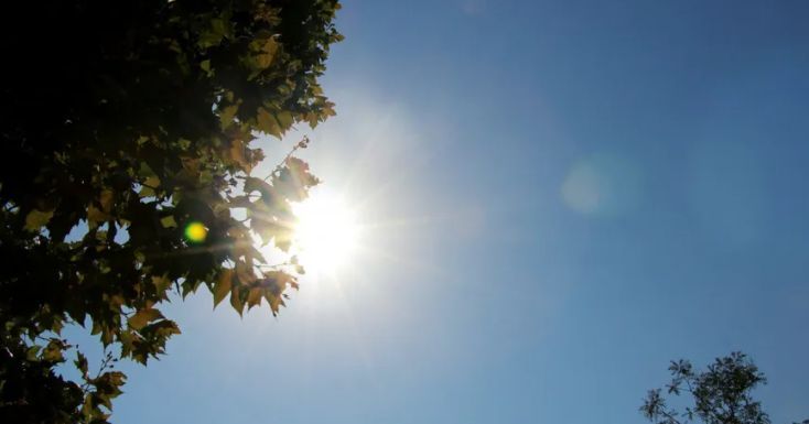 Le Vaucluse en alerte pour pollution à l’ozone : des conseils pour se protéger