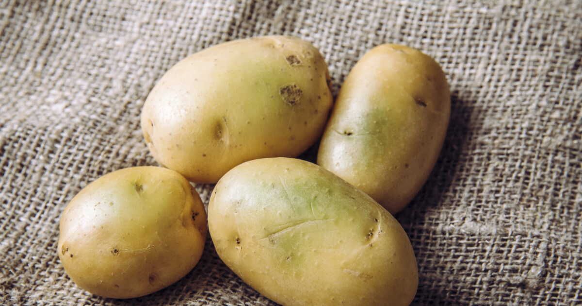 Les pommes de terre vertes : danger ou non ?