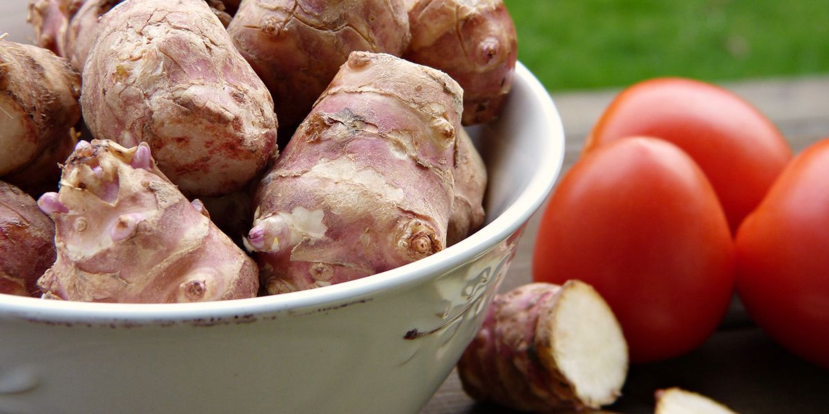 Découvrez le topinambour, ce légume oublié au goût d'artichaut