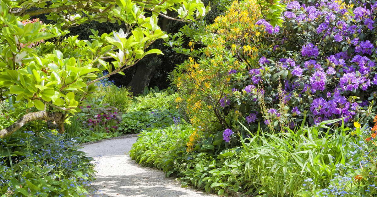 Comment créer un jardin à l'anglaise